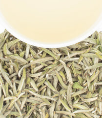 Chinese Silver Needle